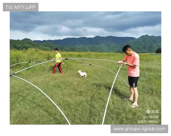 全面解析吉安足球场草皮价格与多维度采购成本影响因素深度指南集